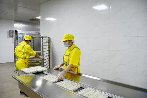 高標準 高收成 肇慶農(nóng)產(chǎn)品有一套 從農(nóng)田到市場的品質(zhì)密碼